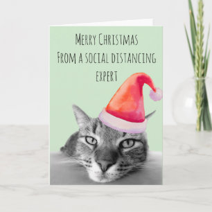 Cartão Feliz Natal do Gato Especialista em Distanciamento