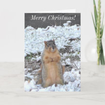 Feliz Natal e Feliz ano novo Squirrel Winter