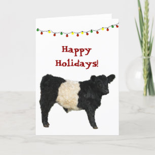 Cartão Feliz Natal Feriado Belado Vaca Galloway Beltie