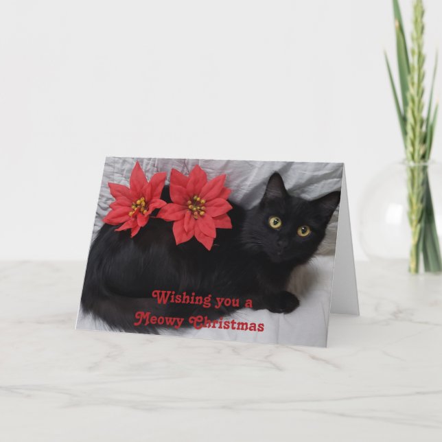 Cartão Feliz Natal, Gato Negro, Foto de Poinsettias Verme (Frente)