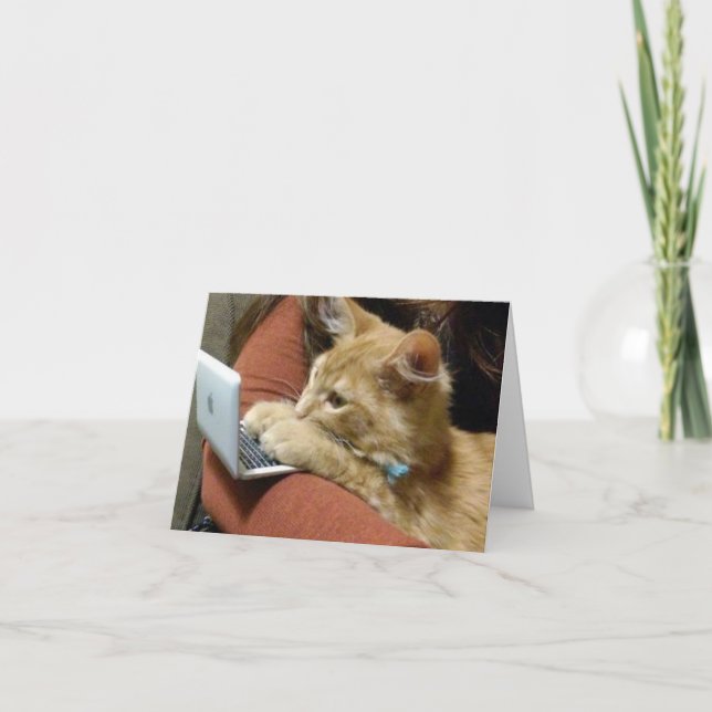 CARTÃO ***FELIZ NATAL*** GATO OCUPADO (Frente)