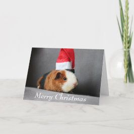 Cartão Feliz Natal Guiné Porco em um Chapéu Santa