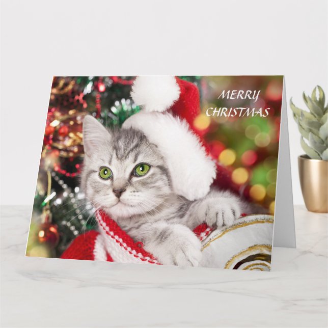 Cartão Feliz Natal Kitten (Planta pequena)