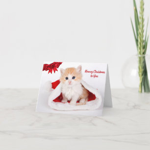 Cartão Feliz Natal para você Gato Bonito em Santa Chapéu