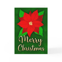 Feliz Natal Poinsettia Saudação Feriado