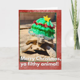 Cartão Feliz Natal, seu animal imundo, tartaruga sarcásti