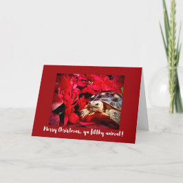 Cartão Feliz Natal, sua suja tartaruga-de-bébé Xmas