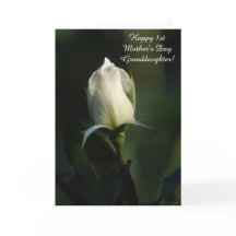 Feliz neta Dia de as mães 1rua