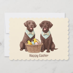 Cartão Feliz Páscoa Labrador Retriever Chocolate Dogs