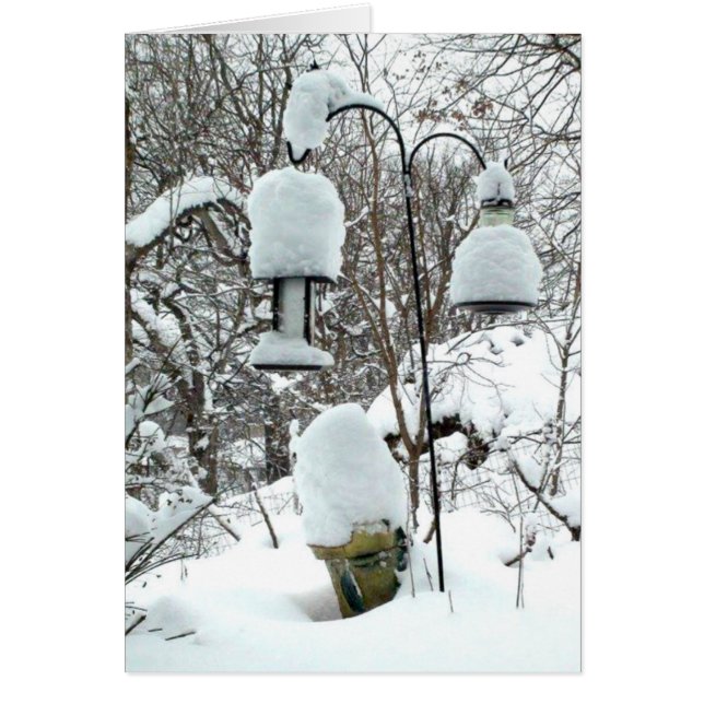 Cartão Feliz Primeiro Dia do Humor Card de Primavera Wisc (Frente)