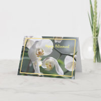 Feliz Reforma Deseja Orquídeas Brancas Elegantes