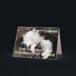 Cartão Feliz Tuxedo Cat Birthday Ama Seu Feijão<br><div class="desc">O Feliz Dia De Aniversário Do Tuxedo Ama-Te O Feijão. Um cartão muito bonito para quem você ama. Dê-o por qualquer razão. Talvez um obrigado,  um Aniversário ou Só por causa! Projetado e pintado por mim a partir de uma das minhas pinturas originais de aquarela.</div>