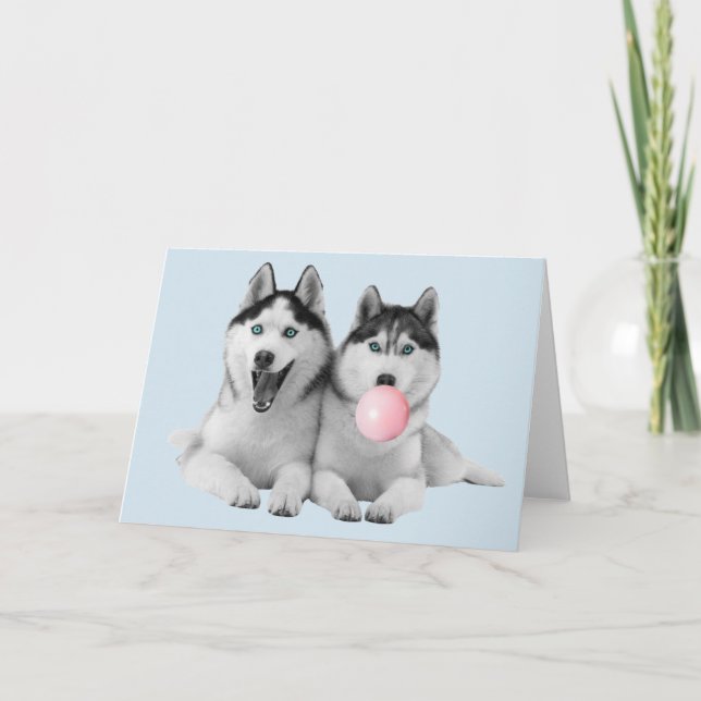 Cartão Felizes e Fofos Huskies Siberianos Chiclete (Frente)