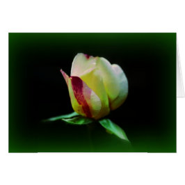 Cartão "Fellowship On Path"