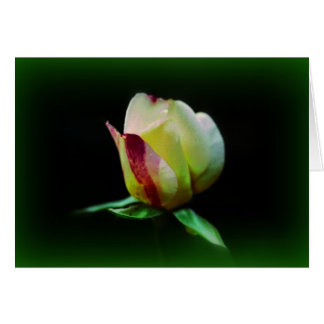 Cartão "Fellowship On Path"