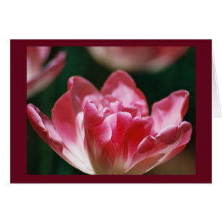 Cartão "Fellowship On Path"