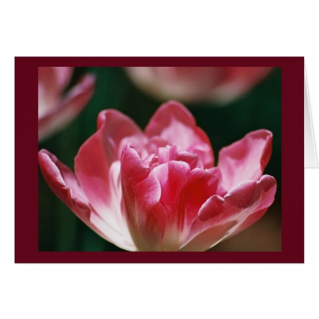 Cartão "Fellowship On Path" (Frente horizontal)