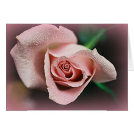 Cartão "Fellowship On Path"