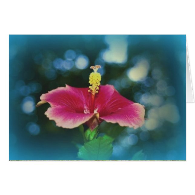 Cartão "Fellowship On Path" (Frente horizontal)