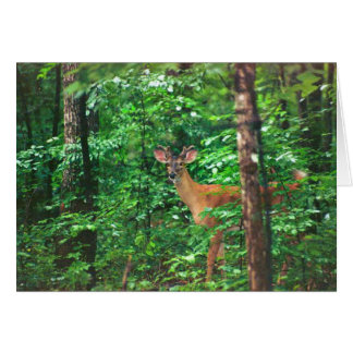 Cartão "Fellowship On Path"