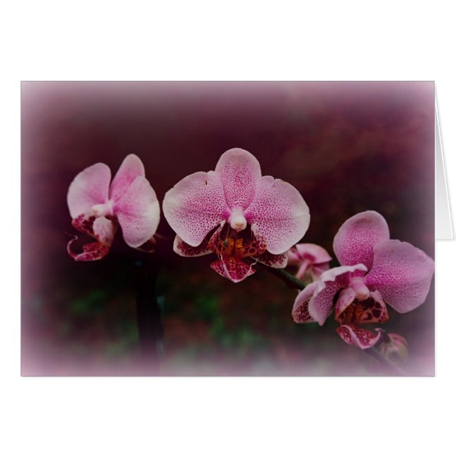 Cartão "Fellowship On Path" (Frente horizontal)