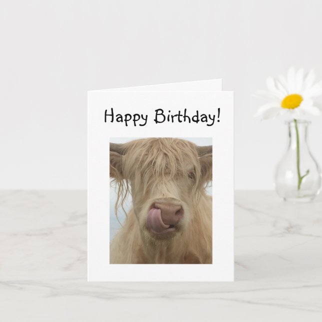 Cartão Felny Highland Cow Birthday (Planta pequena)