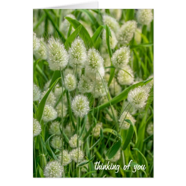 Cartão felpudo rabo de coelho pensando em você (Frente)