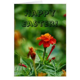 Cartão Felz pascoa!