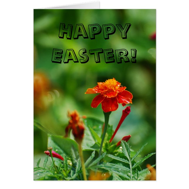 Cartão Felz pascoa! (Frente)