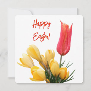 Cartão Felz pascoa bonito amarelo crocus vermelho tulipa