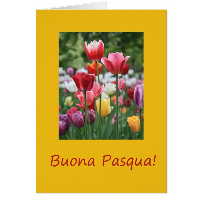 Cartão Felz pascoa italiano Buona Pasqua (Frente)
