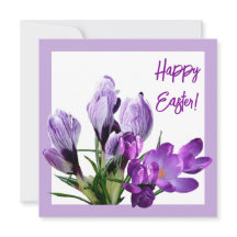 Felz pascoa roxo, cor-de-rosa, cor brilhante