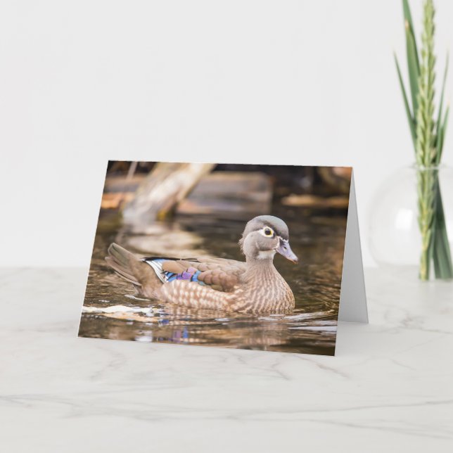Cartão Female Wood Duck Notecard (Frente)