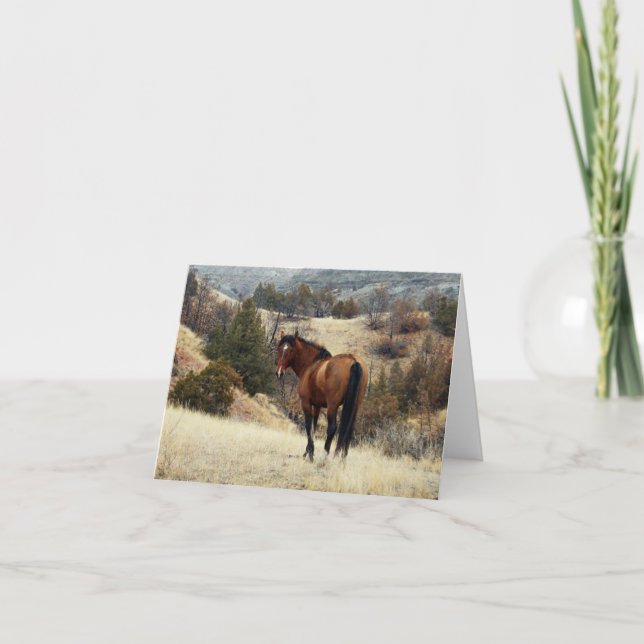 Cartão Feral Horse, Theodore Roosevelt National Park, ND (Frente)