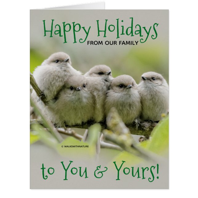 Cartão Feriado de Natal da Família de Canaviais Encantado (Frente)