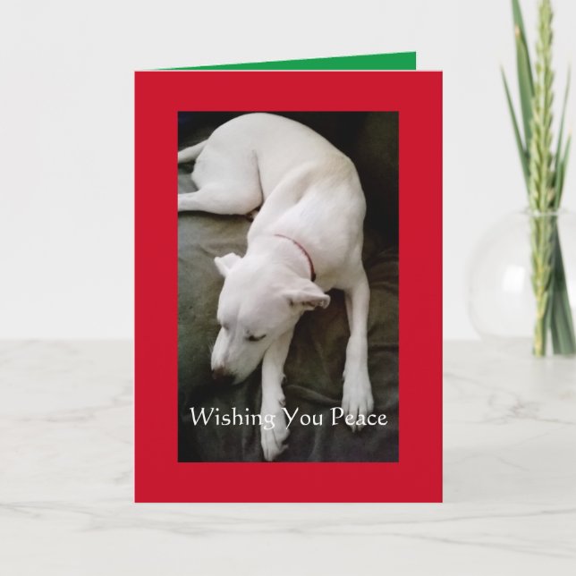 Cartão Feriado de Natal de Cachorro Branco e Paz com Sono (Frente)