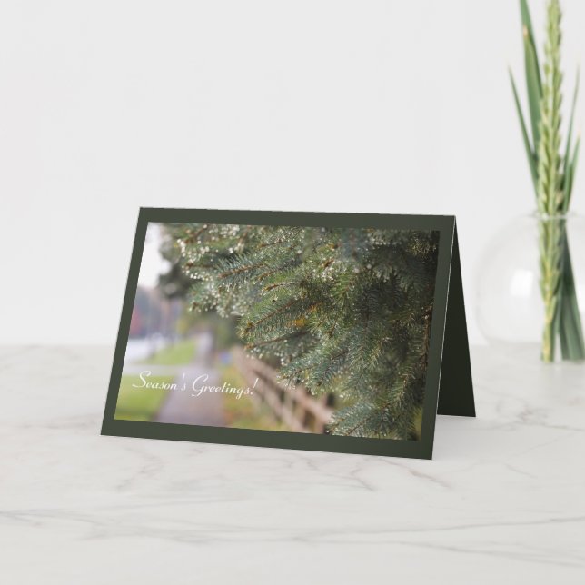 Cartão Feriado Evergreen do Agulha em Shimmering Moderno (Frente)