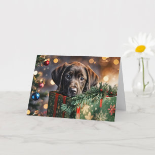 Cartão Feriados de Natal Chocolate Bonito Labrador