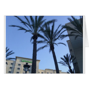 Cartão Férias Twin Palms California