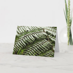 Cartão Fern Fronds II Dark Green Nature