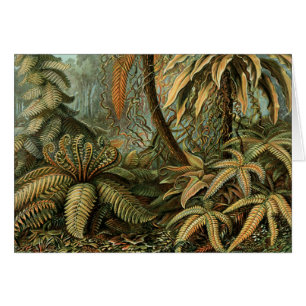 Cartão Ferns Palm Tree Arte Botânica Antica