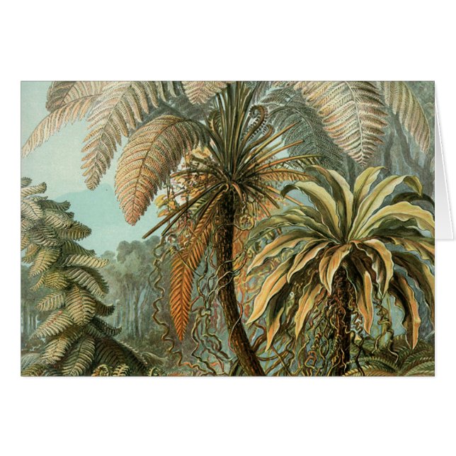 Cartão Ferns Palm Tree Arte Botânica Antica (Frente Horizontal)
