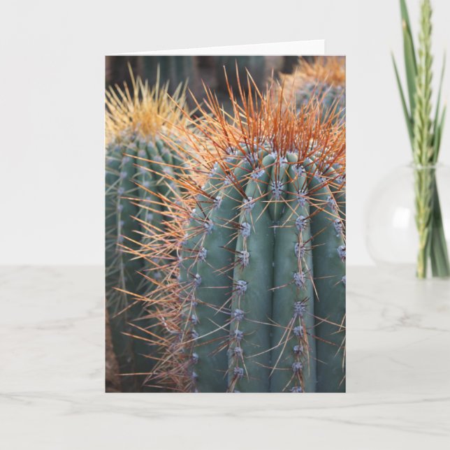 Cartão Ferocactus card 2 (Frente)