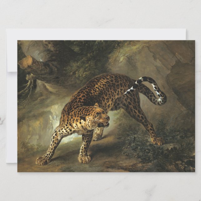 Cartão Ferocious Wild Leopard (por Jean-Baptiste Oudry) (Frente)