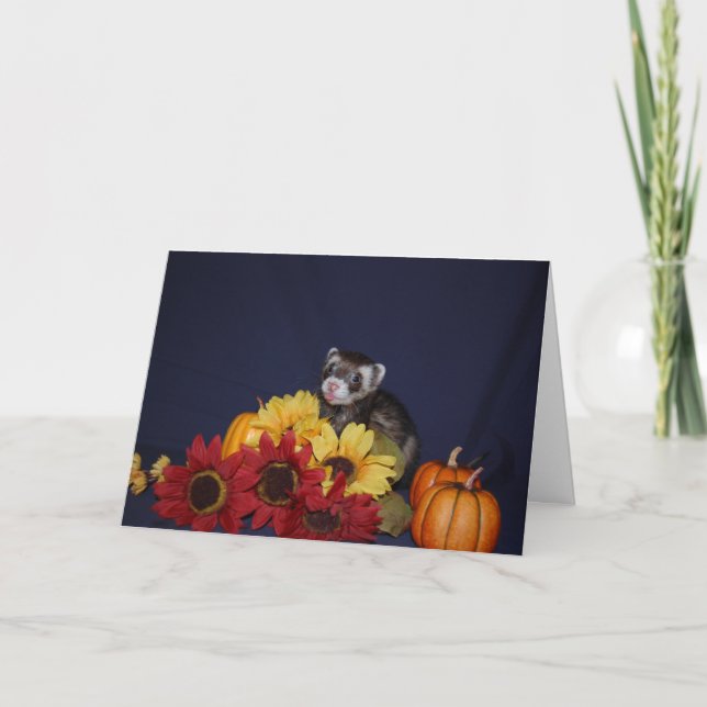 Cartão Ferret Birthday Card (Frente)