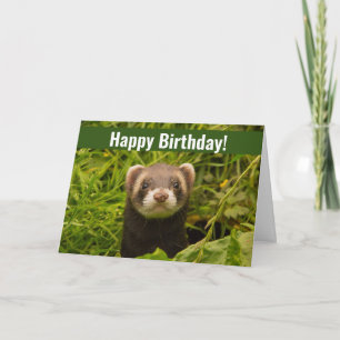 Cartão Ferret castanho-bonito no aniversário feliz da gra