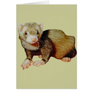 Cartão Ferret Drawing
