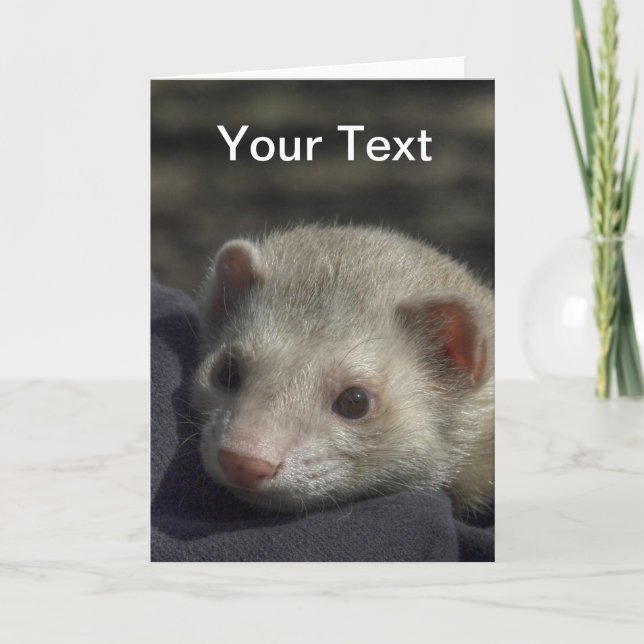 Cartão Ferret Greeting Card (Frente)
