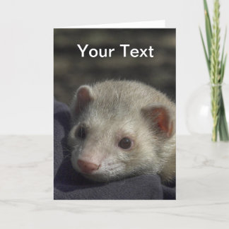 Cartão Ferret Greeting Card