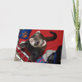Cartão Ferret Greeting Card